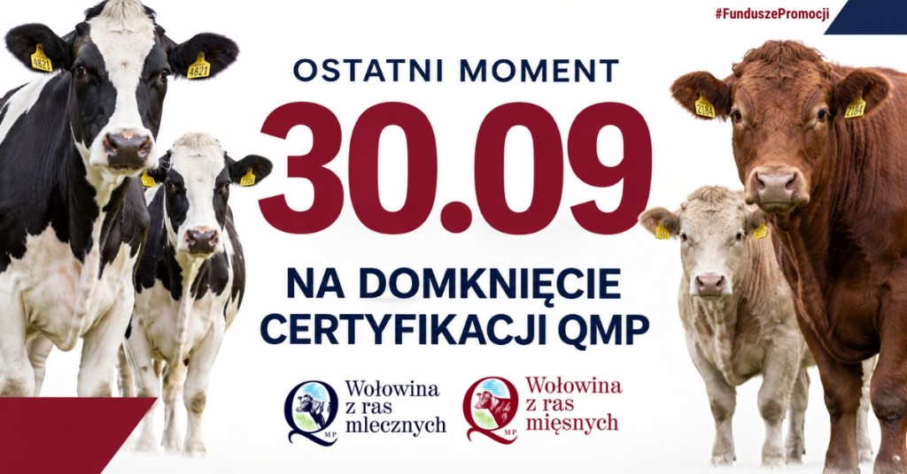 Certyfikat QMP - plakat